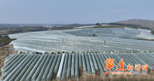 宁远:精准施策筑防线 防寒保产稳增收_副本500.png 宁远:精准施策筑防线 防寒保产稳增收_副本500.png