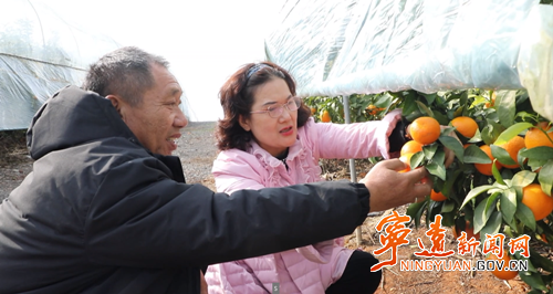 宁远:精准施策筑防线 防寒保产稳增收3_副本500.png 宁远:精准施策筑防线 防寒保产稳增收3_副本500.png