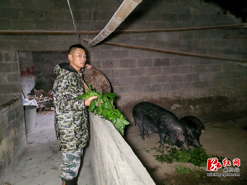 微信图片_20260128095742.jpg 微信图片_20260128095742.jpg