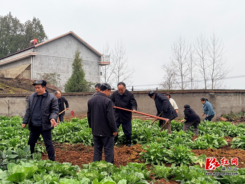 微信图片_20260127152336.jpg 微信图片_20260127152336.jpg