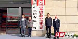 湖南马栏山集团有限公司揭牌