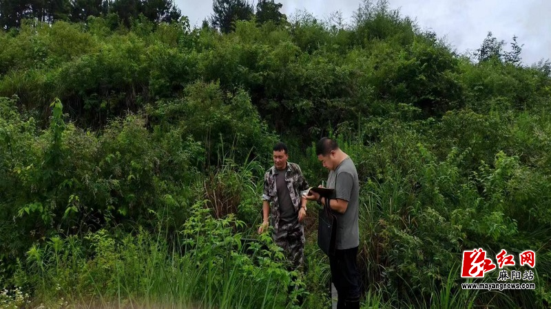 微信图片_20260129095944.jpg 微信图片_20260129095944.jpg