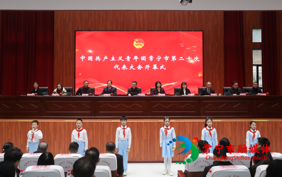 共青团常宁市第二十次代表大会开幕_看图王.jpg