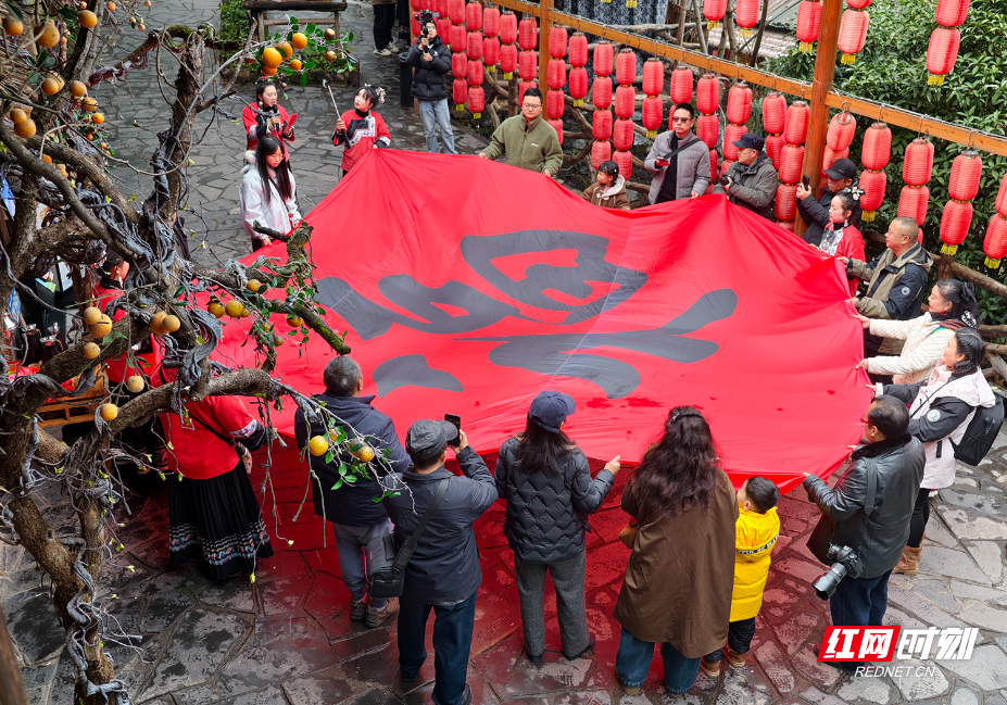 IMG_20260131_114455.jpg IMG_20260131_114455.jpg