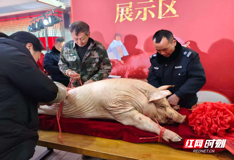 微信图片_20260131163440_356_127.jpg 微信图片_20260131163440_356_127.jpg