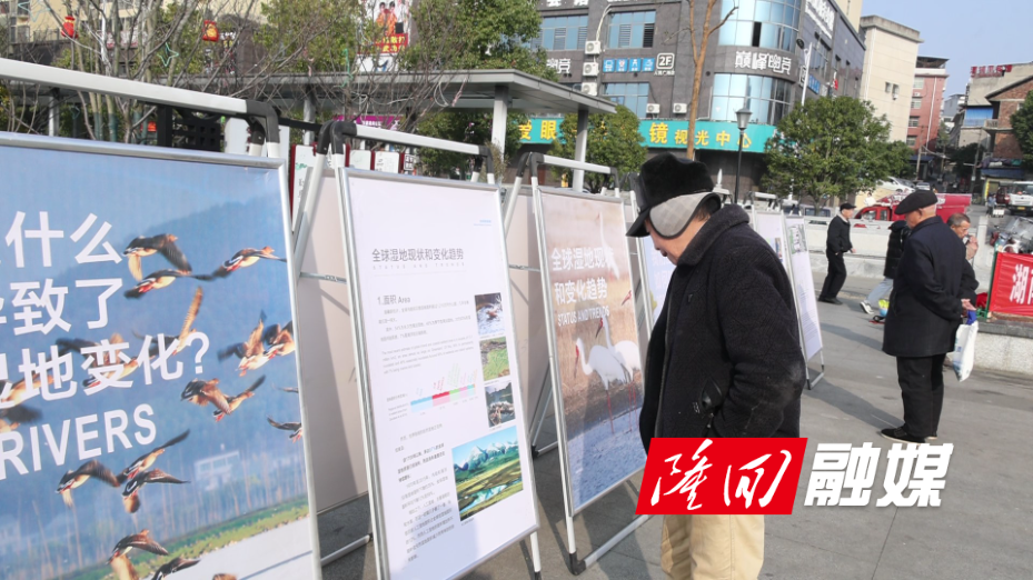 2B0A1398.jpg 2B0A1398.jpg