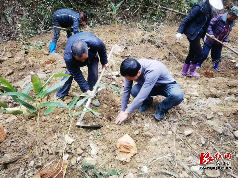 微信图片_20260204100625.jpg 微信图片_20260204100625.jpg