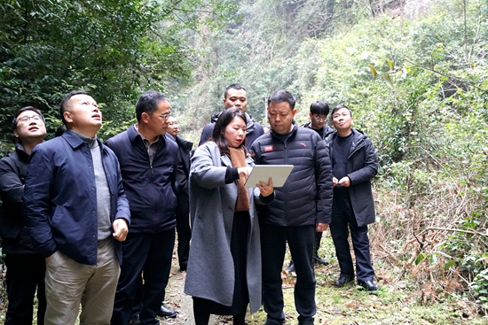 钟跃波带队调研索溪峪街道产业发展工作