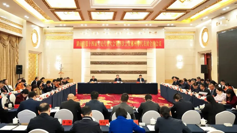 郴州代表团审议省人大常委会工作报告