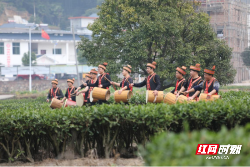 宜章莽山：瑶胞茶园赛鼓迎新年(1)575.png