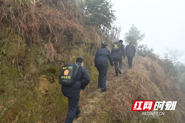 法治年货1.png 法治年货1.png