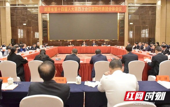 直通省两会丨邵阳市代表团审议省人大常委会工作报告