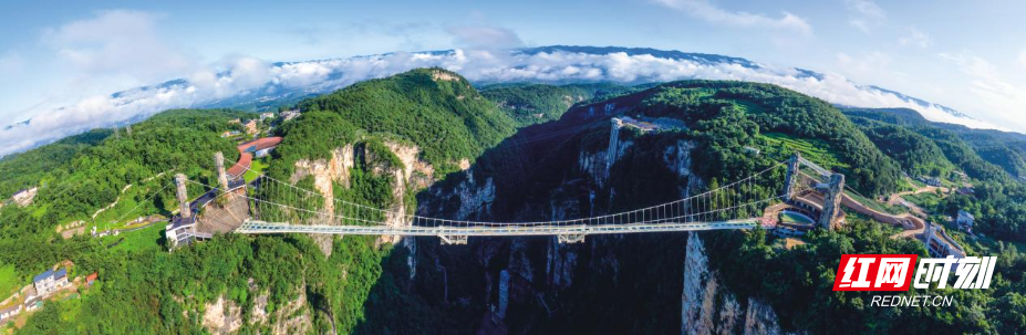 image6.jpeg image6.jpeg