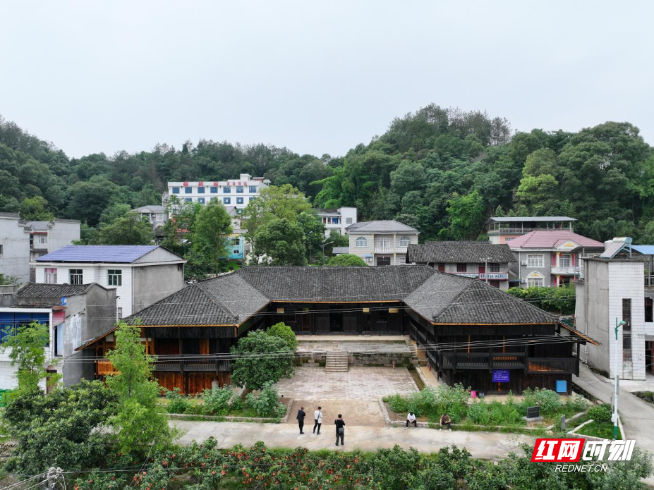 image7.jpeg image7.jpeg