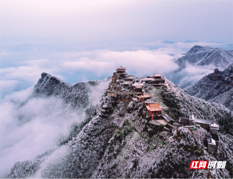 image9.jpeg image9.jpeg