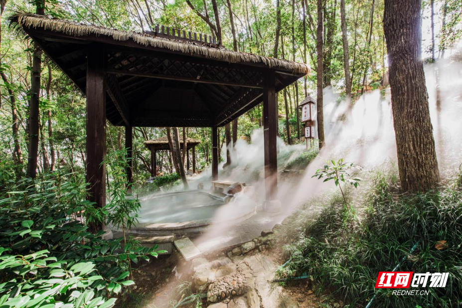 image10.jpeg image10.jpeg