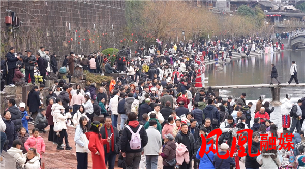 ScreenShot_2026-02-19_100540_583.png ScreenShot_2026-02-19_100540_583.png