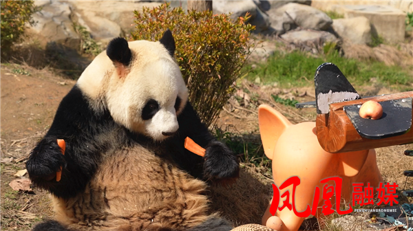 ScreenShot_2026-02-21_120451_462.png ScreenShot_2026-02-21_120451_462.png