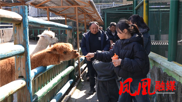 ScreenShot_2026-02-21_120603_158.png ScreenShot_2026-02-21_120603_158.png