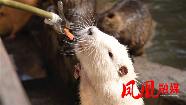 ScreenShot_2026-02-21_120755_005.png ScreenShot_2026-02-21_120755_005.png