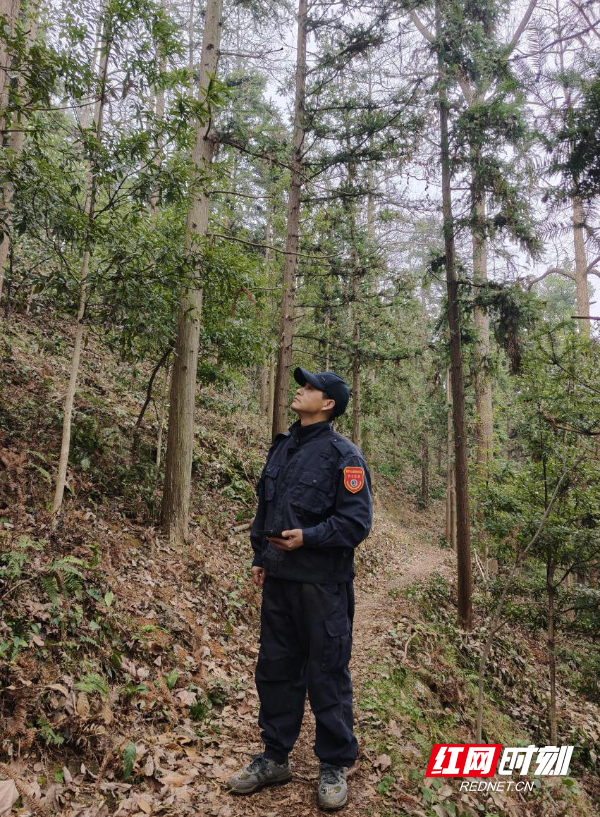 ScreenShot_2026-02-23_181329_245.jpg ScreenShot_2026-02-23_181329_245.jpg