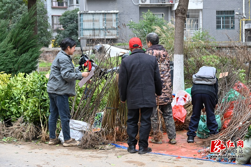 微信图片_20260225163322.jpg 微信图片_20260225163322.jpg