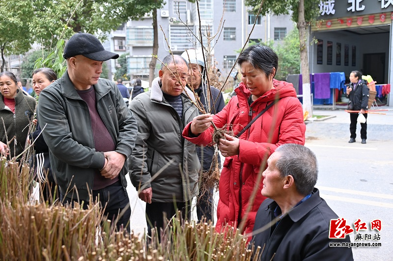 微信图片_20260225163319.jpg 微信图片_20260225163319.jpg