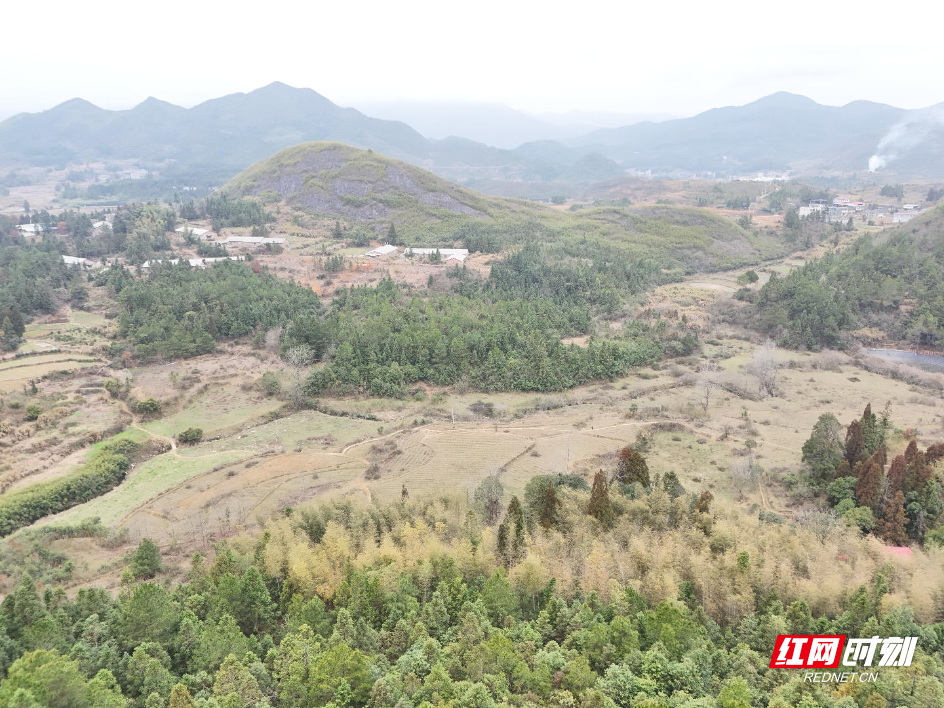 34e3dc553d26dfbe6950e0b6bf578fe5.jpg 34e3dc553d26dfbe6950e0b6bf578fe5.jpg