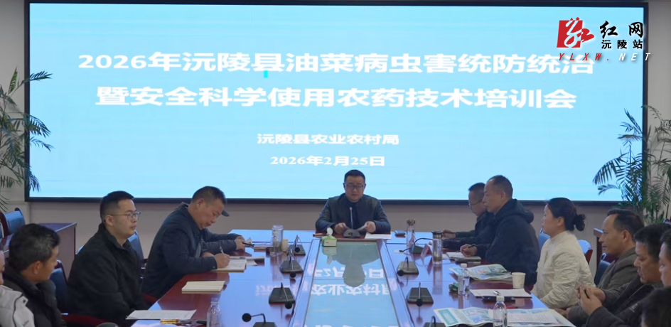 微信图片_20260226120809_782_36.jpg 微信图片_20260226120809_782_36.jpg