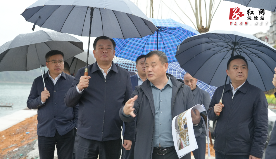 微信图片_20260227123505_446_3.jpg 微信图片_20260227123505_446_3.jpg