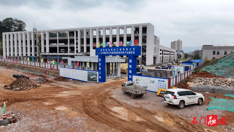 新春复工忙 项目建设开启“加速跑”6.jpg