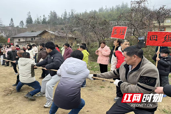 图片3.png 图片3.png