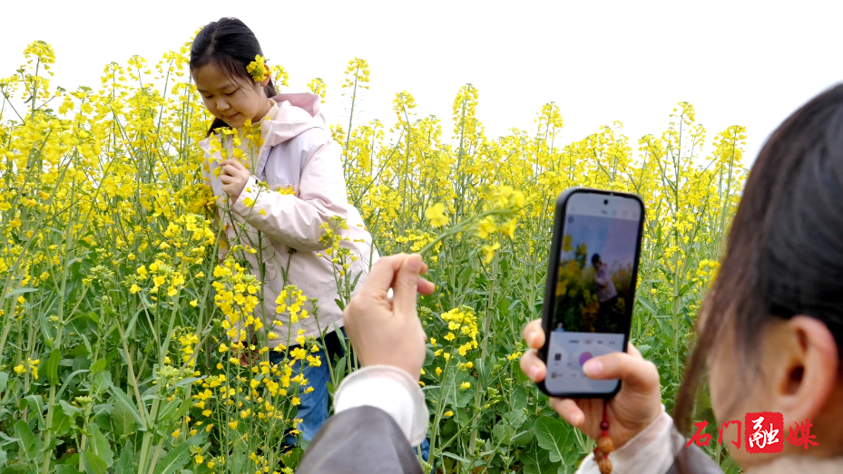 石门县:油菜花海醉游人 亲子乐享春日好时光5.png 石门县:油菜花海醉游人 亲子乐享春日好时光5.png
