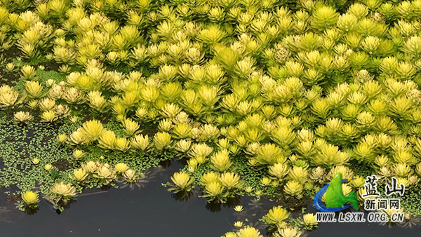 塔峰镇:水清岸绿风光好 生态繁花映春光1.jpg 塔峰镇:水清岸绿风光好 生态繁花映春光1.jpg