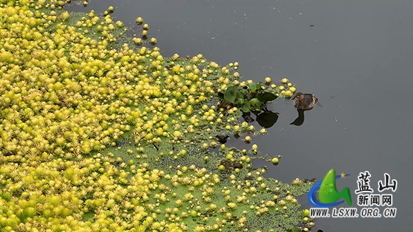 塔峰镇:水清岸绿风光好 生态繁花映春光2.jpg 塔峰镇:水清岸绿风光好 生态繁花映春光2.jpg