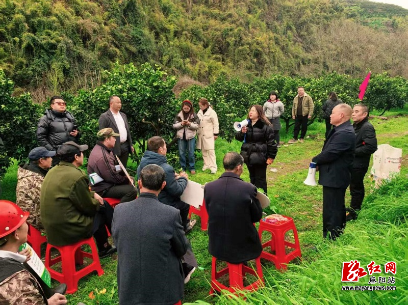 微信图片_20260305162919.jpg 微信图片_20260305162919.jpg