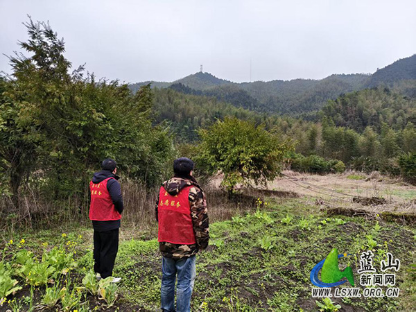 浆洞瑶族乡：春风踏查 禁种护绿.jpg