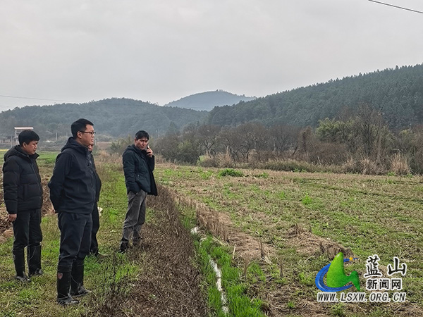 土市镇与镇政协委员工作室联合开展粮食生产工作现场调研.jpg