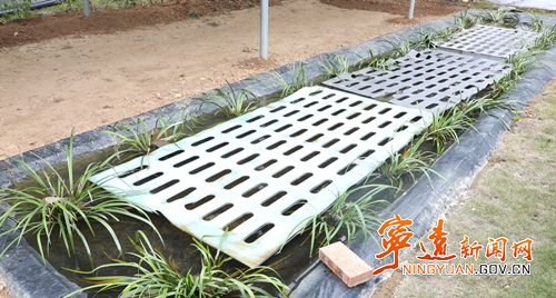 宁远：石蛙春护关键期 老把式传授“生态经”_副本500.png