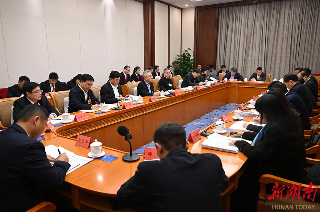 湖南代表团举行分组会议 审议“两高”工作报告等