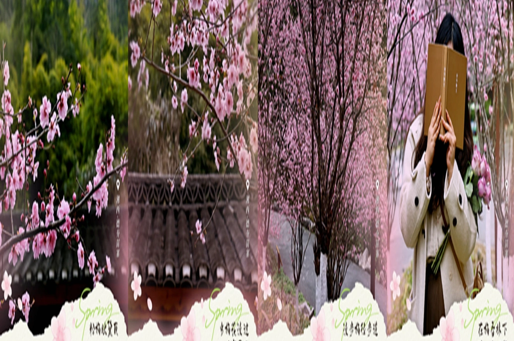 德夯梅开，赴一场湘西早春之约