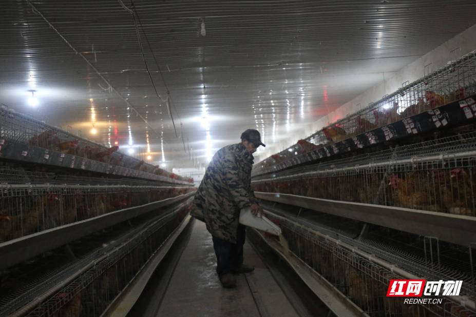 图片2.jpg 图片2.jpg