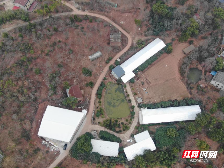 图片3.jpg 图片3.jpg