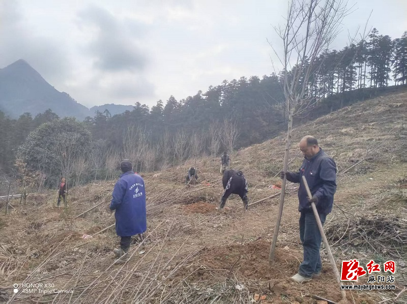 微信图片_20260311154537.jpg 微信图片_20260311154537.jpg