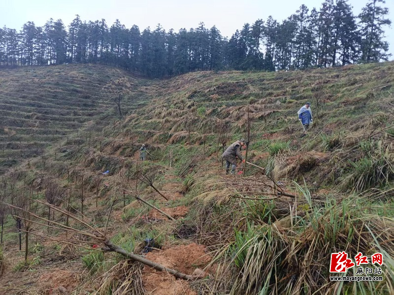 微信图片_20260311154542.jpg 微信图片_20260311154542.jpg