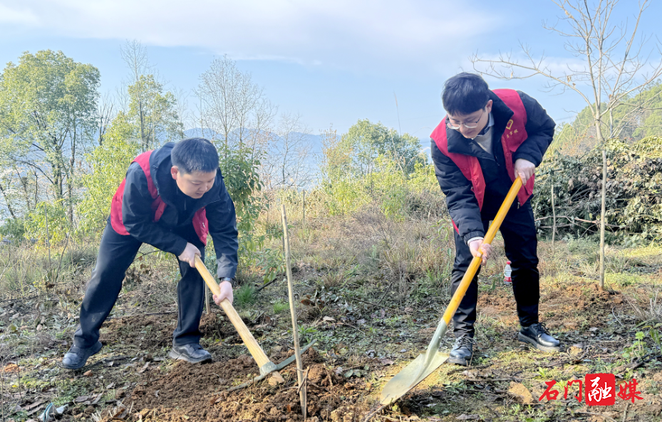 皂市镇开展义务植树活动，2.jpg