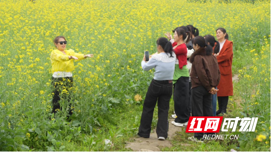 宜章县一六村：油菜花开醉游人(新媒体)612.png