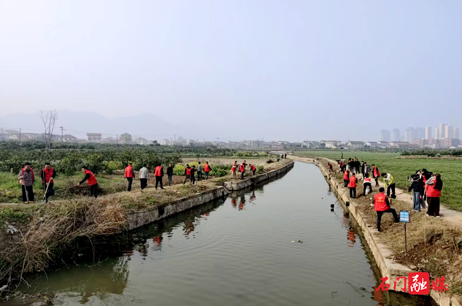 二都街道:开展义务植树活动 为河道岸线添新绿1.jpg 二都街道:开展义务植树活动 为河道岸线添新绿1.jpg