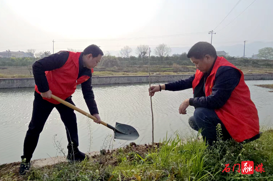 二都街道:开展义务植树活动 为河道岸线添新绿2.jpg 二都街道:开展义务植树活动 为河道岸线添新绿2.jpg