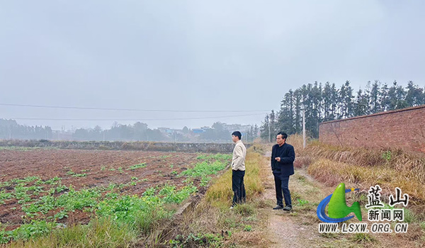 新圩镇农业办到各村督导早稻生产.jpg